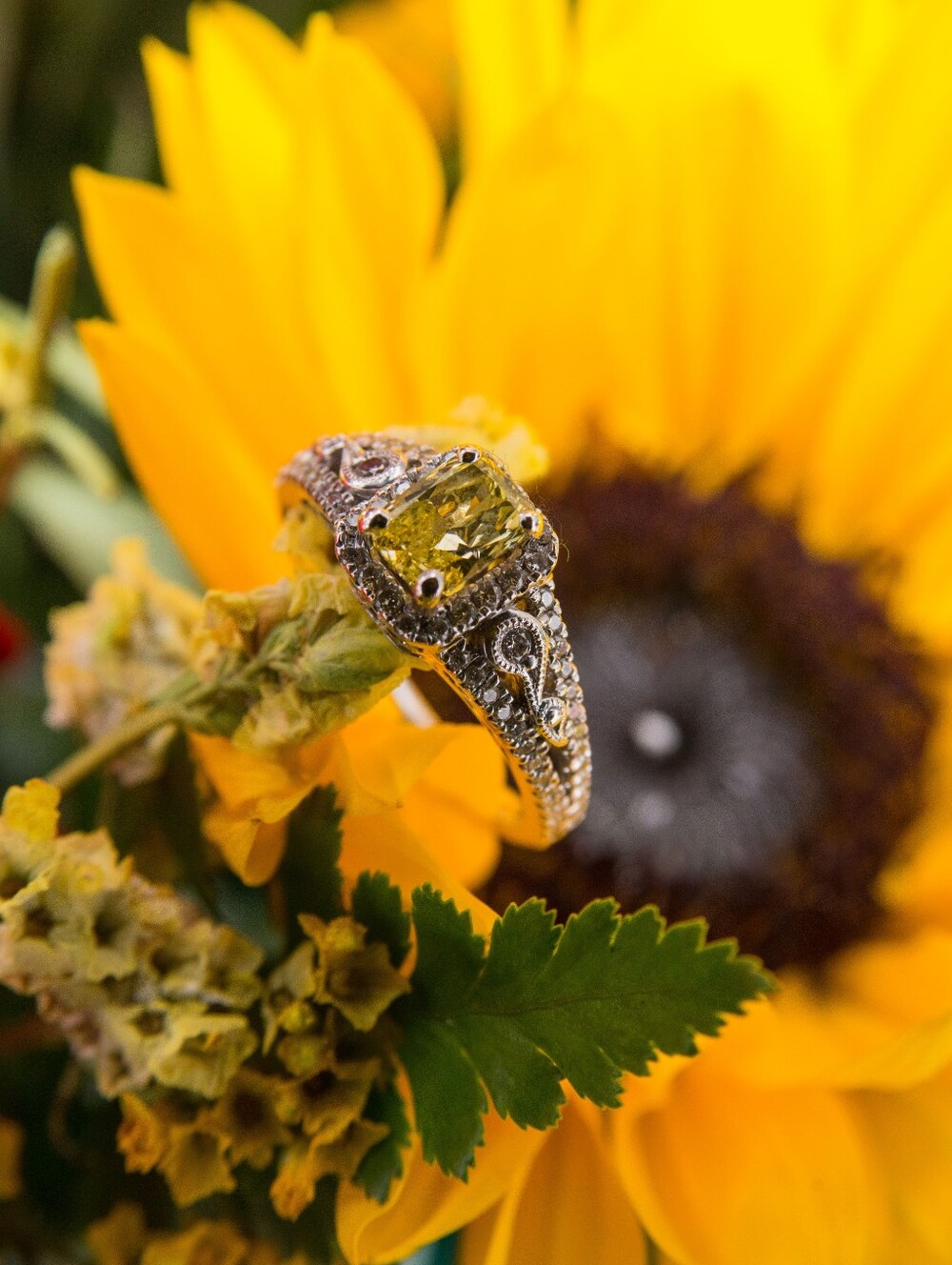 Canary Diamond Gabriel And Co. Engagement Ring - Picture 2 of 9